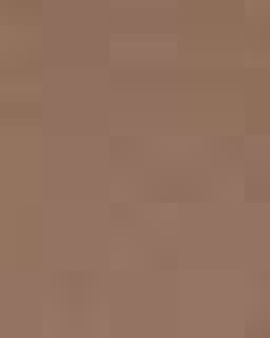 Unisex Sponge Fleece Hoodie Sweatshirt