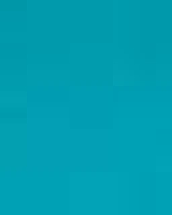 Women's Heavy Cotton™ T-Shirt