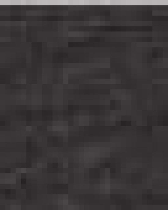 Women’s Sponge Fleece Wide Neck Sweatshirt